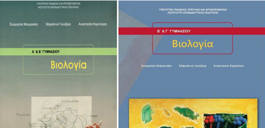 Εικόνα επιλογής