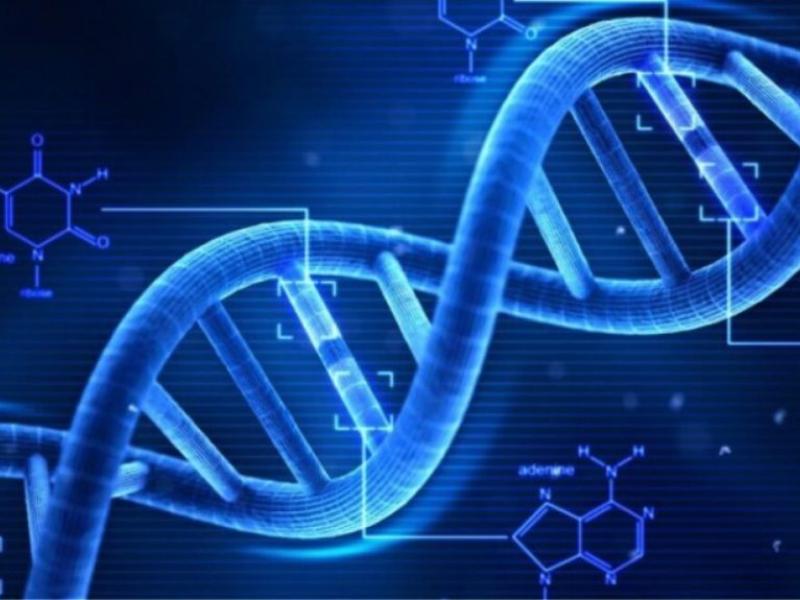 Εικόνα επιλογής