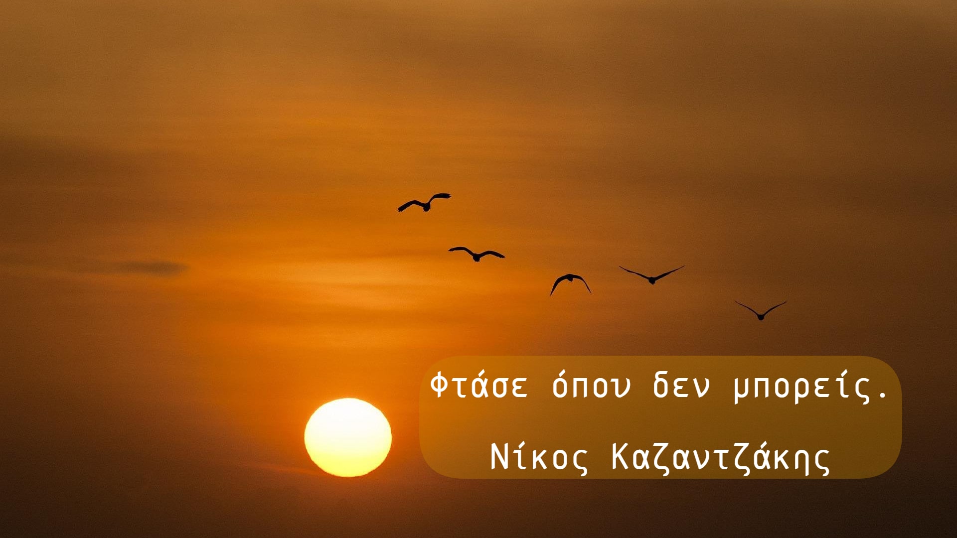 Εικόνα επιλογής