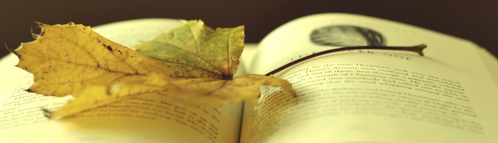 Εικόνα επιλογής