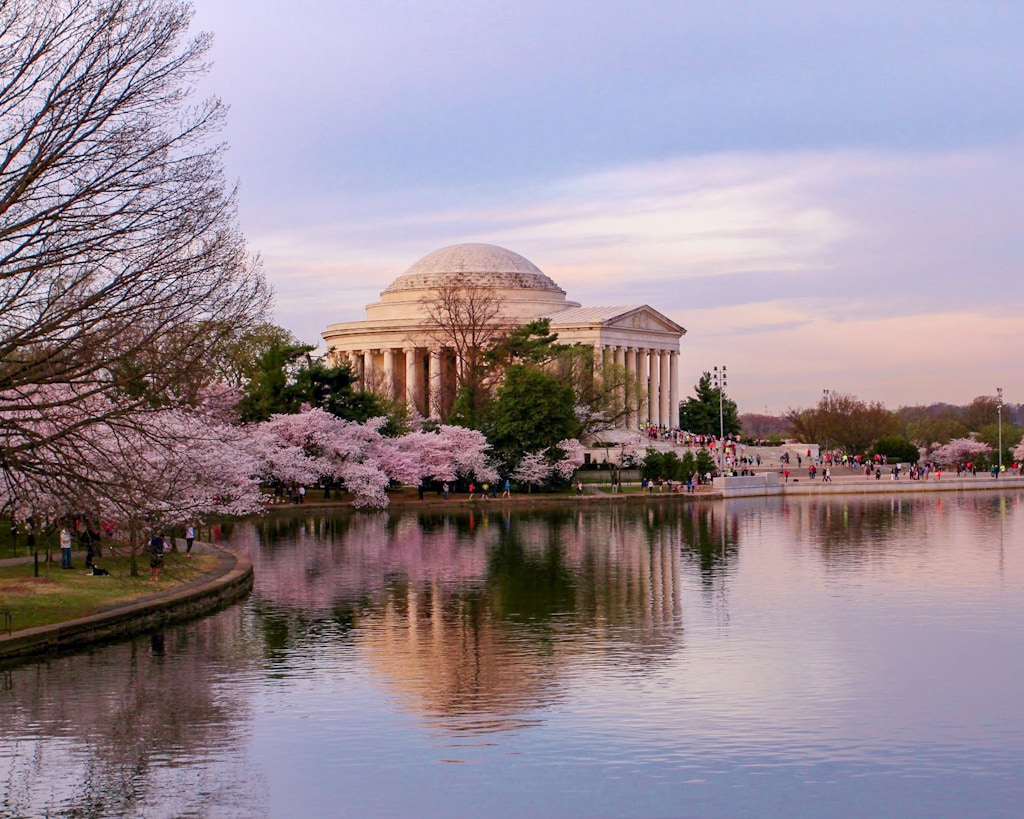 Εικόνα επιλογής
