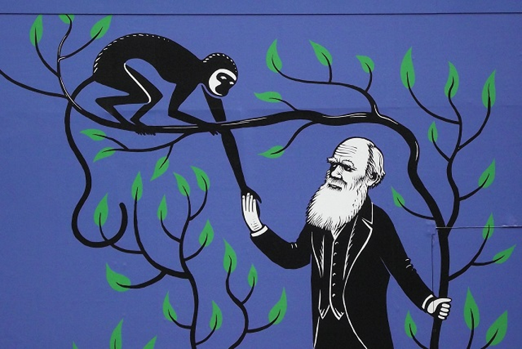 Επιλέχθηκε εικόνα