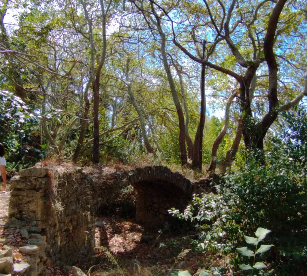 Selected image