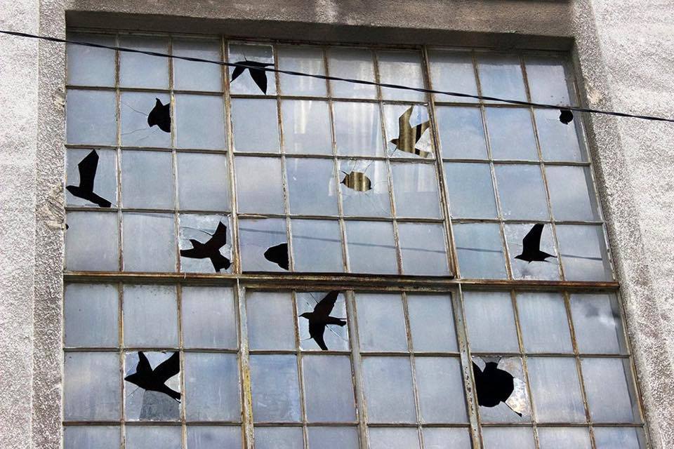 Εικόνα επιλογής