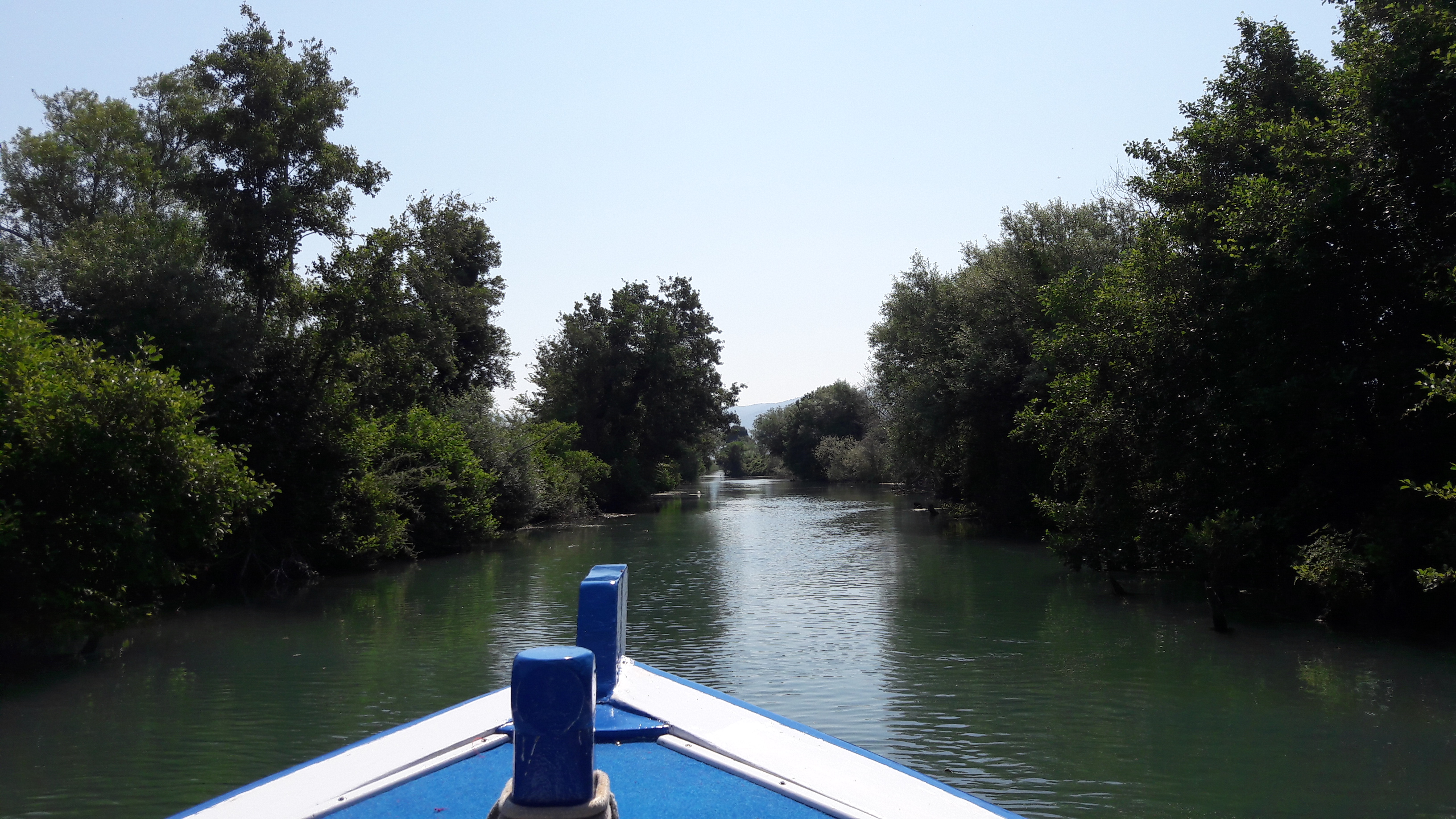 Εικόνα επιλογής