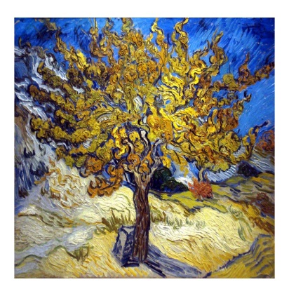 Εικόνα επιλογής