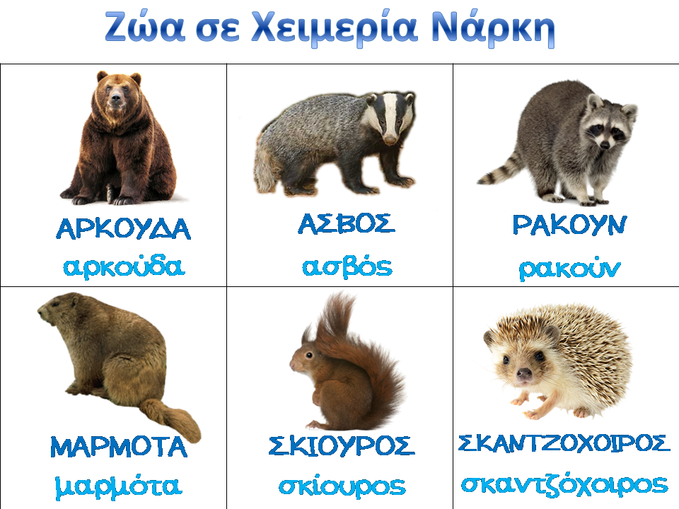 Μάθημα