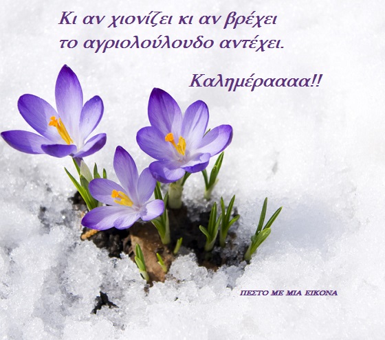 Εικόνα επιλογής