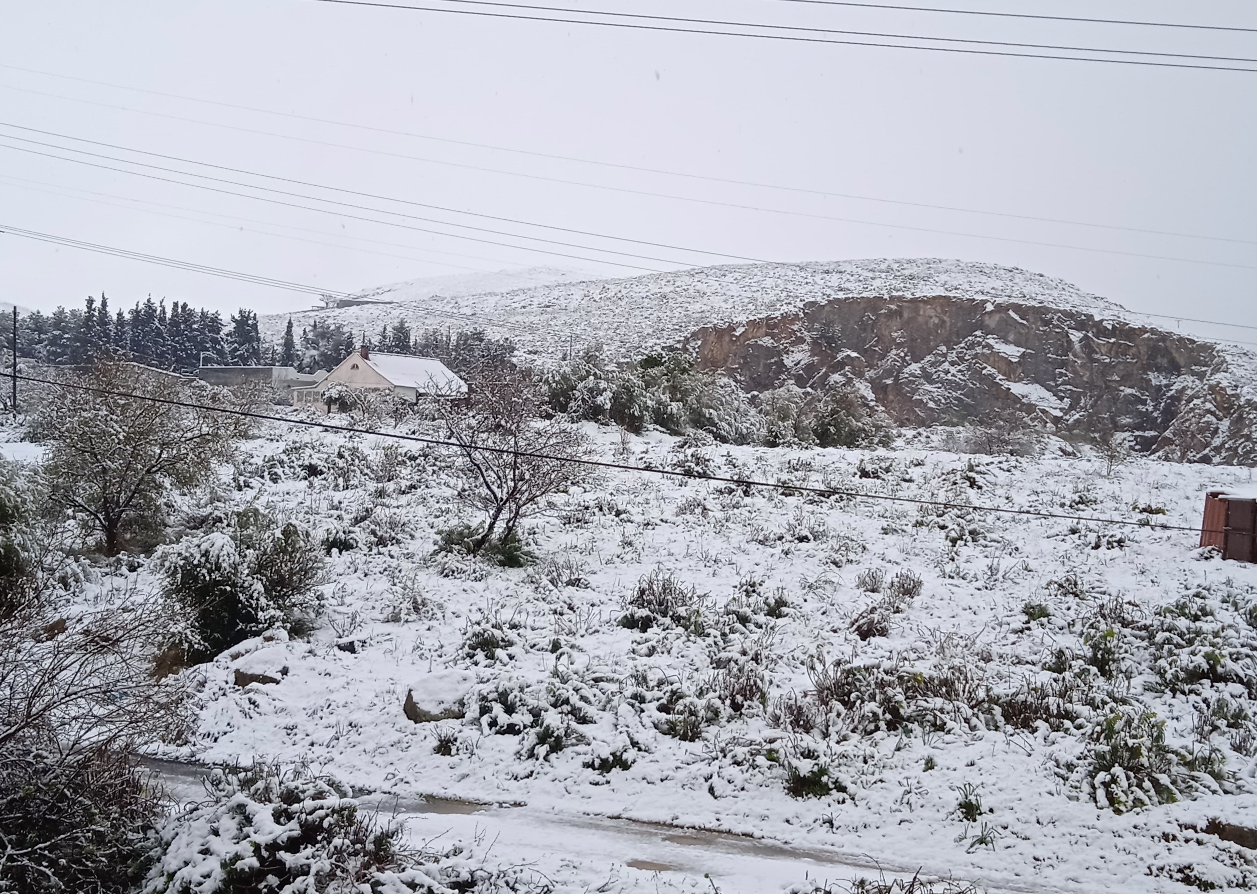Εικόνα επιλογής