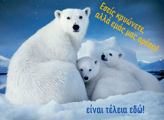 Εικόνα επιλογής