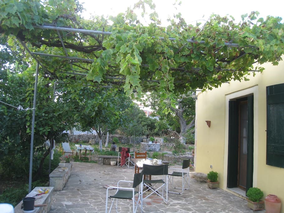Εικόνα επιλογής