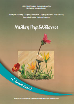 Εικόνα επιλογής