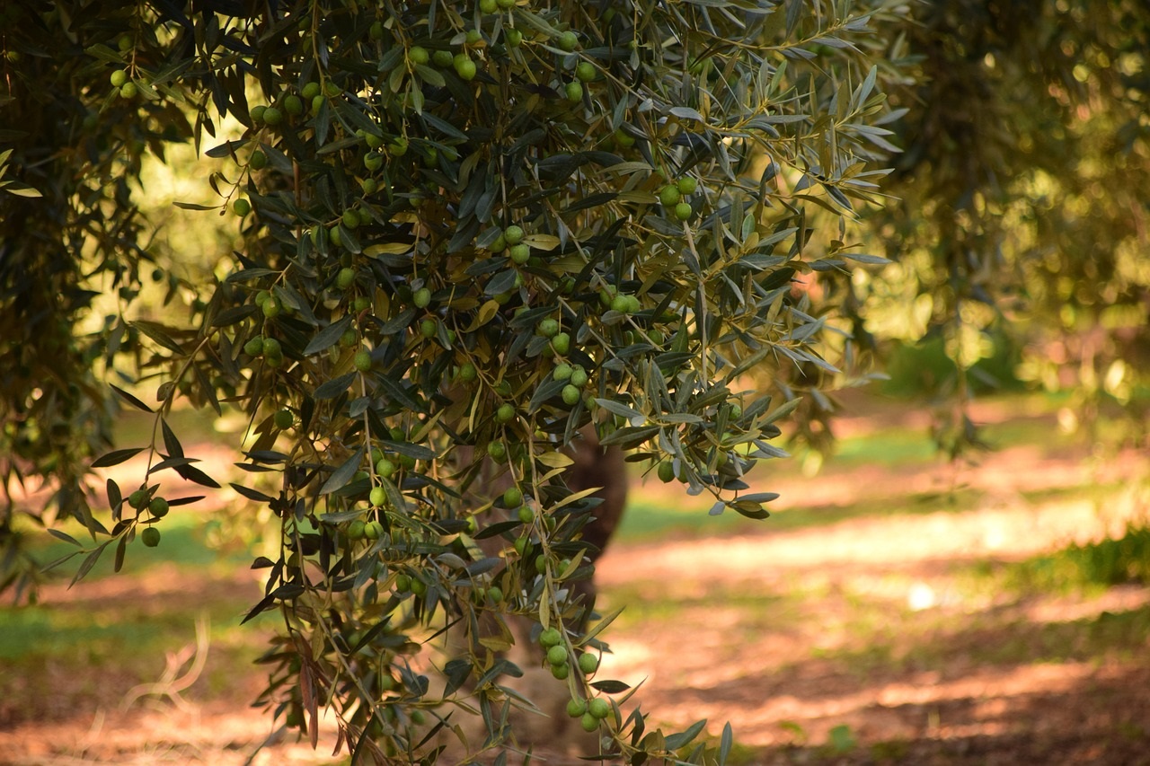 Μάθημα