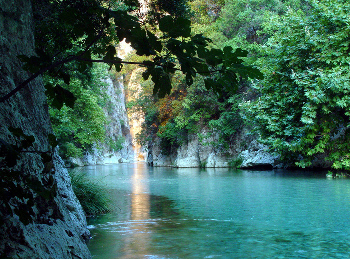 Εικόνα επιλογής