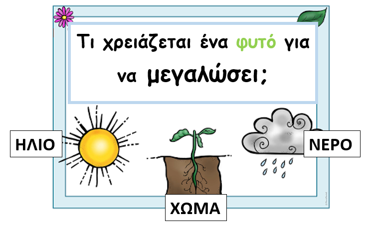 Εικόνα επιλογής
