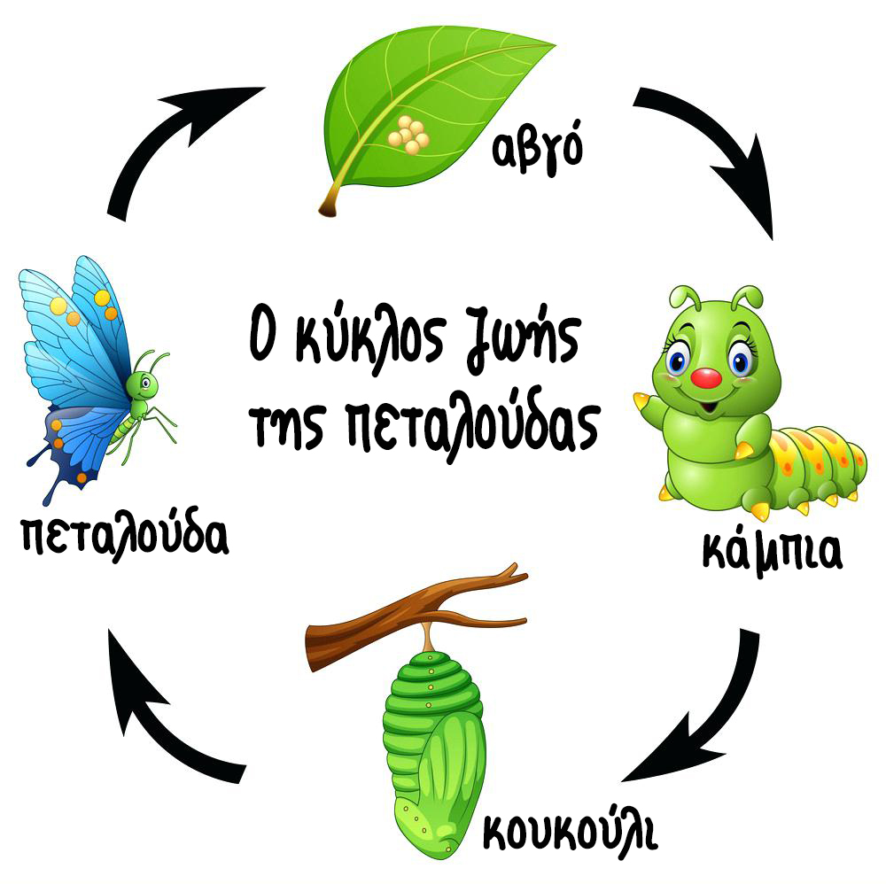 Μάθημα
