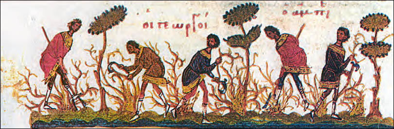 Εικόνα επιλογής