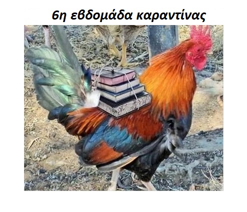 Εικόνα επιλογής