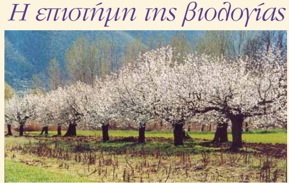 Εικόνα επιλογής