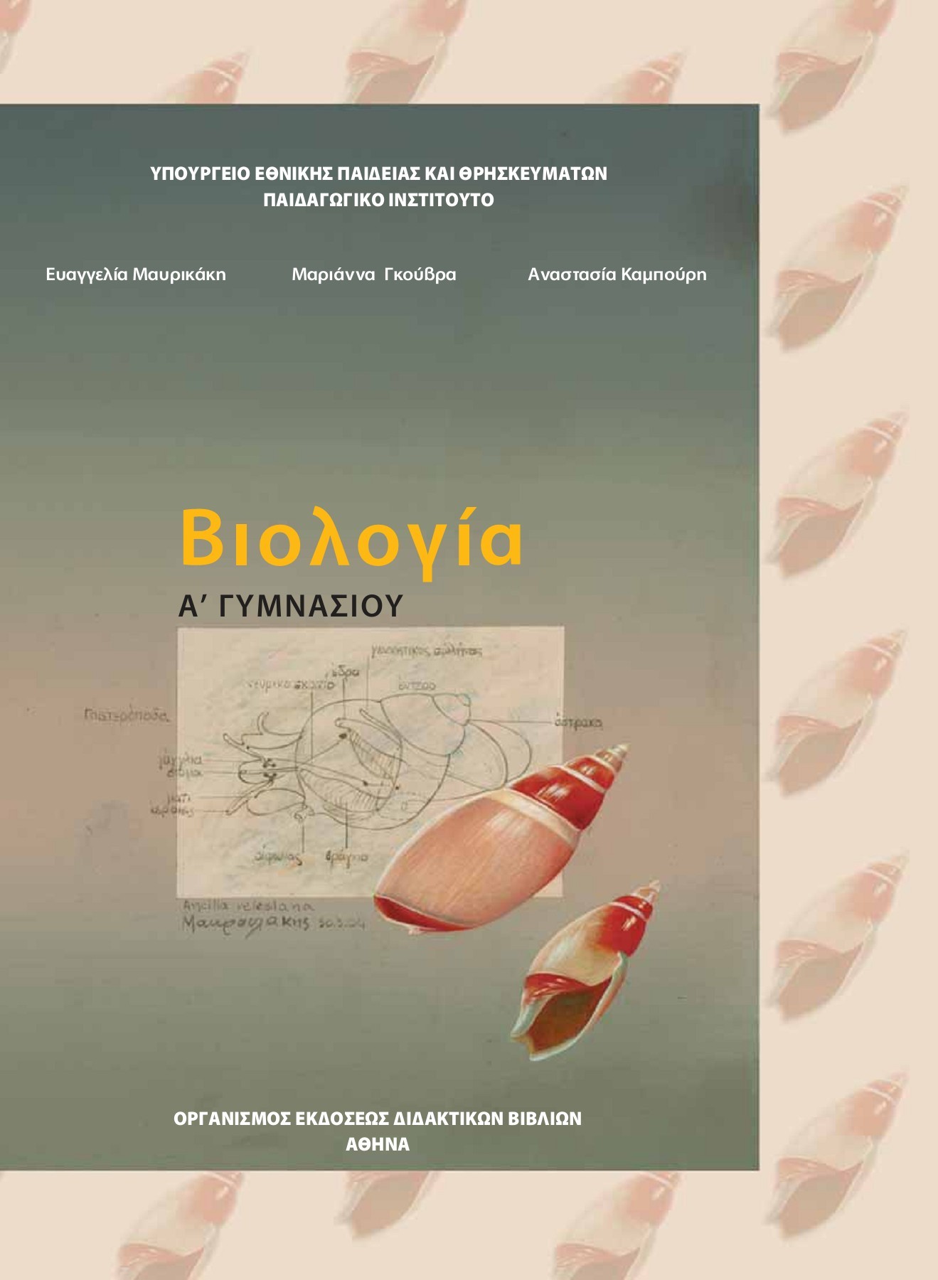 Εικόνα επιλογής