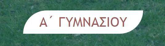 Εικόνα επιλογής