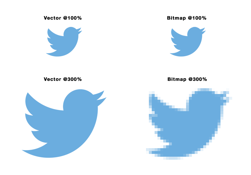 vector-bitmap-differences