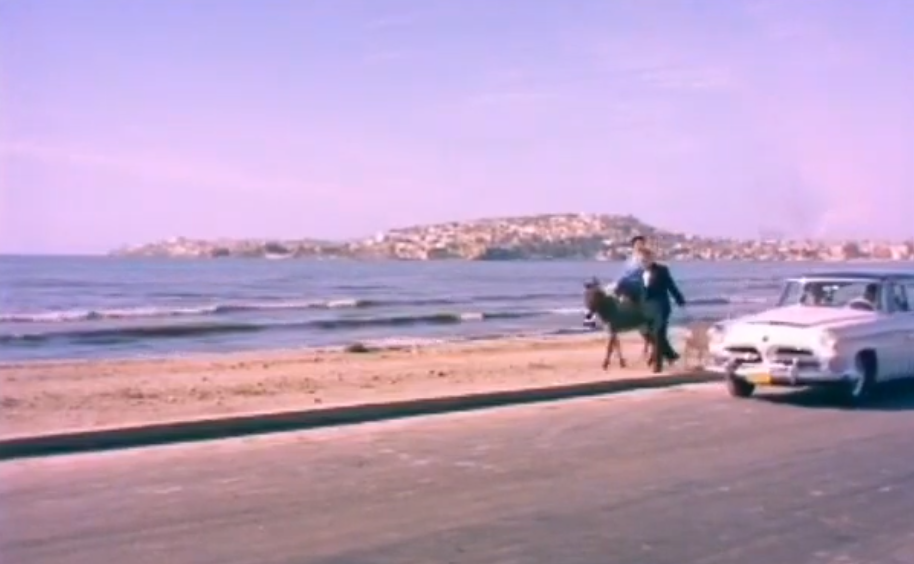 Η παραλία του Μοσχάτου. Πώς ήταν και πώς κατάντησε!